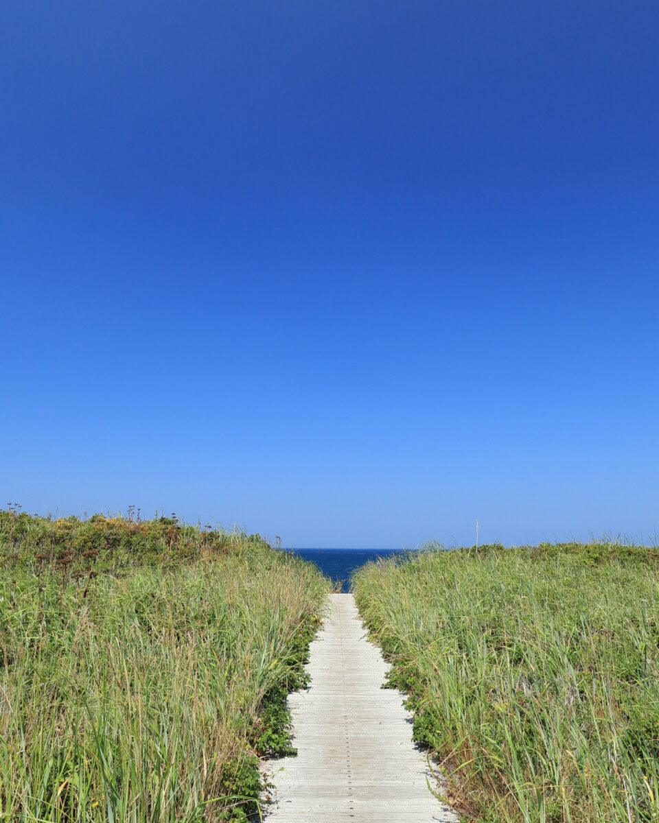 Blue sky and a path in the middle.