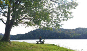autumn lake